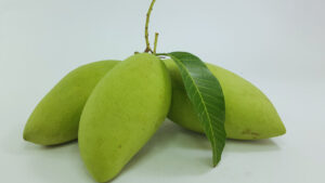 22202 mango(sour)