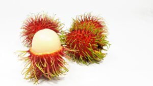 22204 rambutan