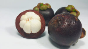 22205 mangosteen