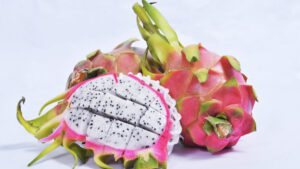 22241 white dragon fruit