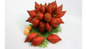22255 salak
