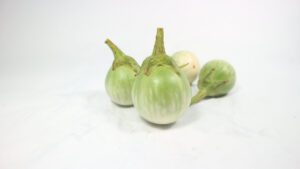 el013 egg plant