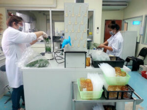 pesticide2